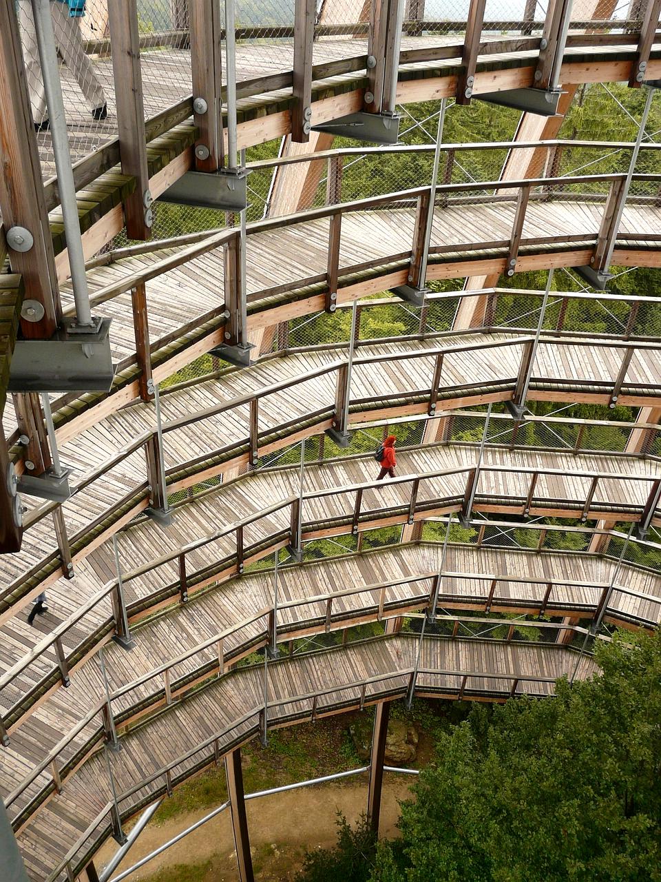 Markus Fischer - Neuroscience Expert